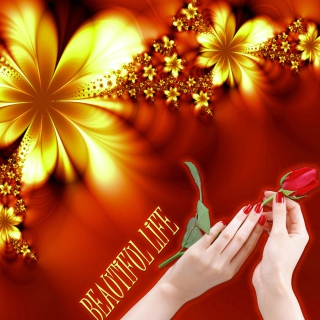 Beautiful Life - Obrázkek zdarma pro iPad mini