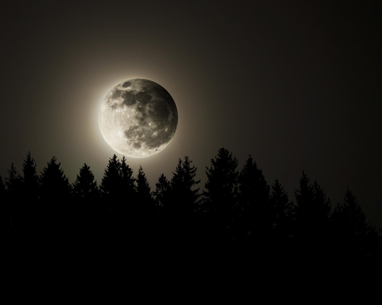 Fondo de pantalla Full Moon Time 1280x1024