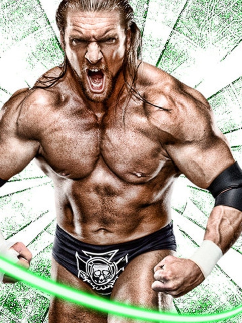 Fondo de pantalla Triple H 480x640