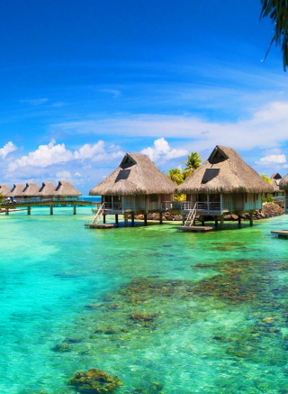 Hotel In Caribbean Sea - Fondos de pantalla gratis para Samsung GT-S5230 Star