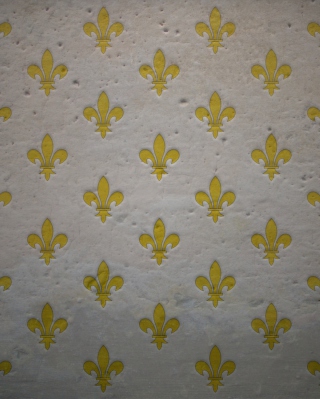 Fleur De Lys Pattern - Obrázkek zdarma pro Nokia C1-02