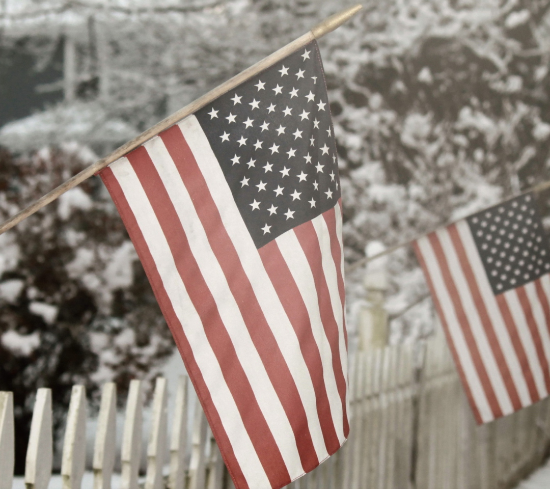 American Flag screenshot #1 1080x960