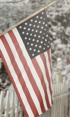 American Flag screenshot #1 240x400