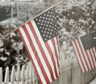 American Flag - Obrázkek zdarma pro iPad