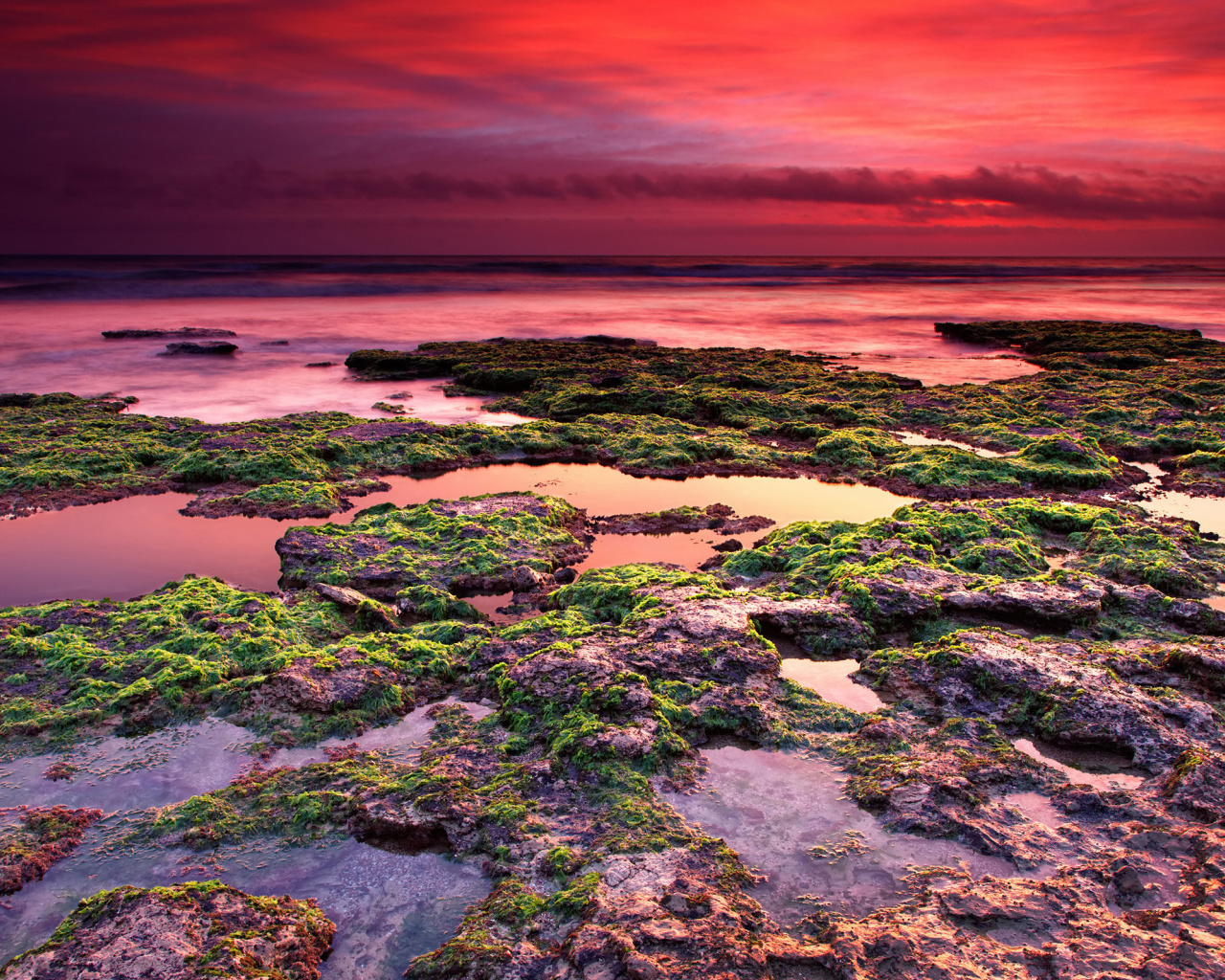 Fondo de pantalla Sunrise on coast 1280x1024