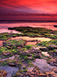 Fondo de pantalla Sunrise on coast 240x320