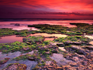 Sunrise on coast wallpaper 320x240