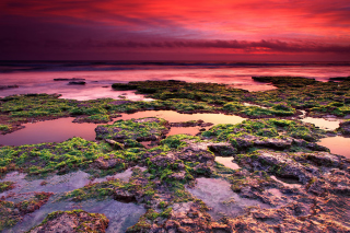 Sunrise on coast Background for Android, iPhone and iPad