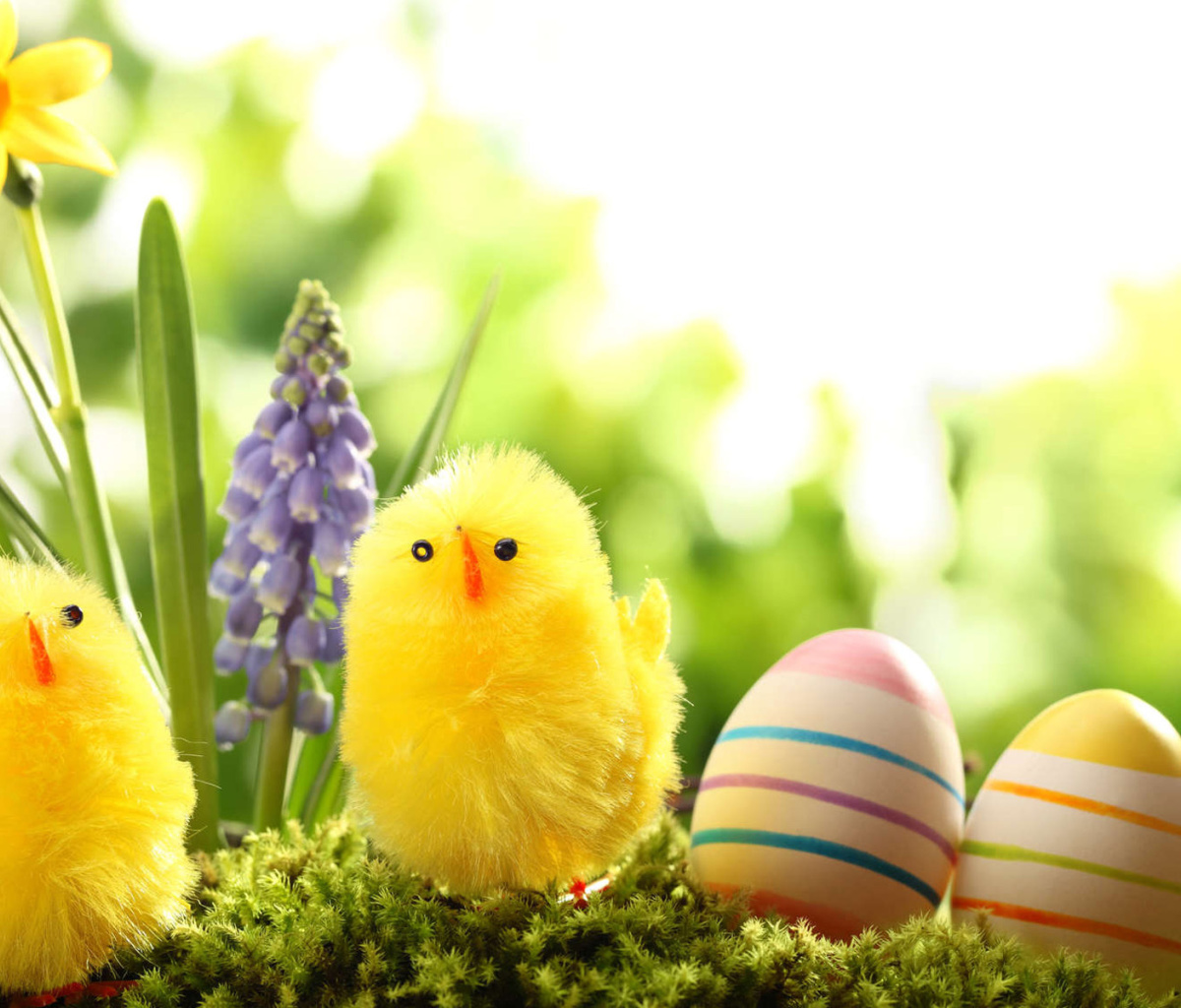 Easter Eggs and Hen wallpaper 1200x1024