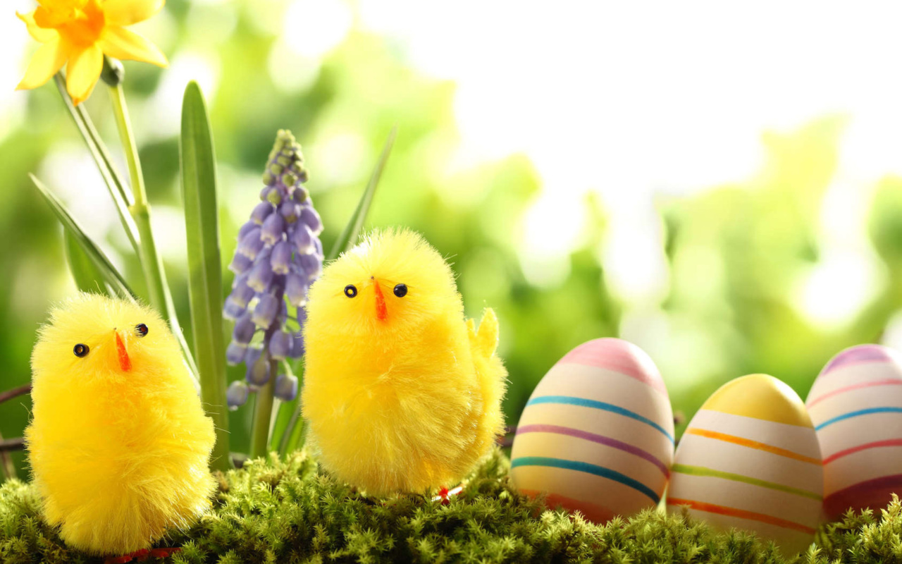 Easter Eggs and Hen screenshot #1 1280x800