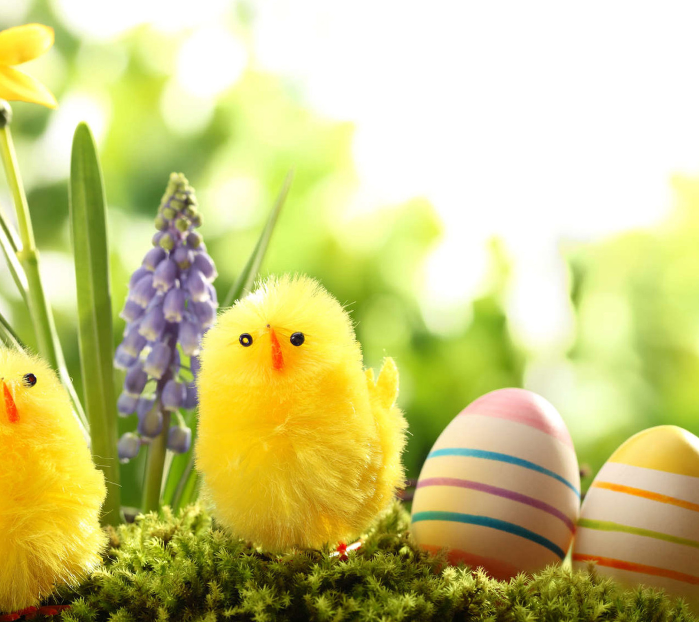 Easter Eggs and Hen screenshot #1 1440x1280