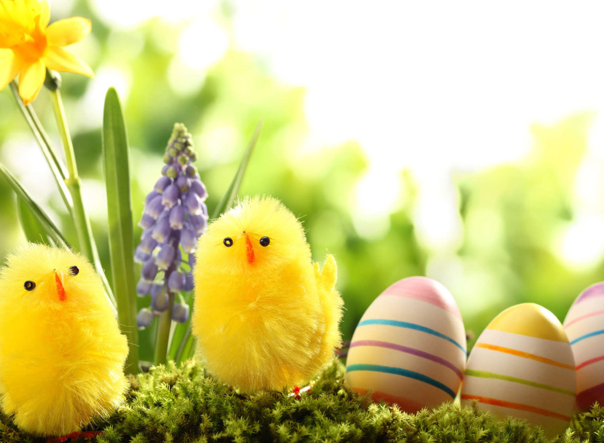 Easter Eggs and Hen wallpaper 1920x1408
