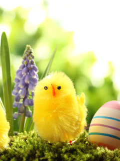 Easter Eggs and Hen wallpaper 240x320