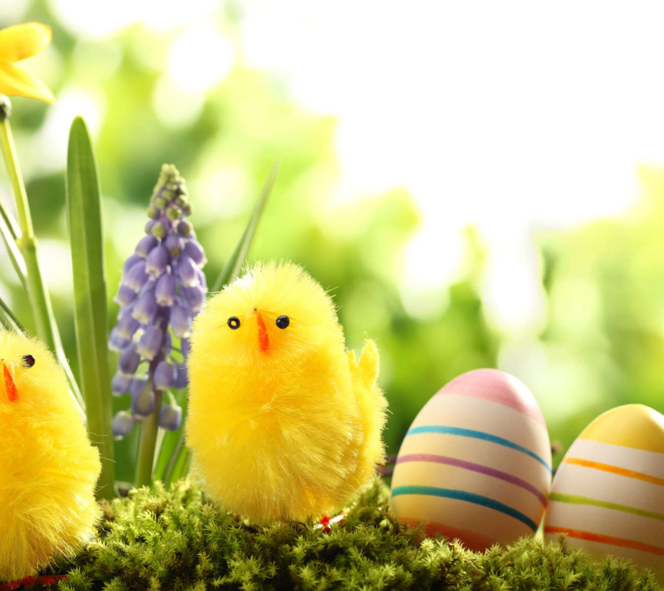 Easter Eggs and Hen wallpaper 960x854