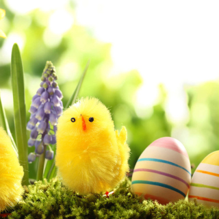 Free Easter Eggs and Hen Picture for 1024x1024