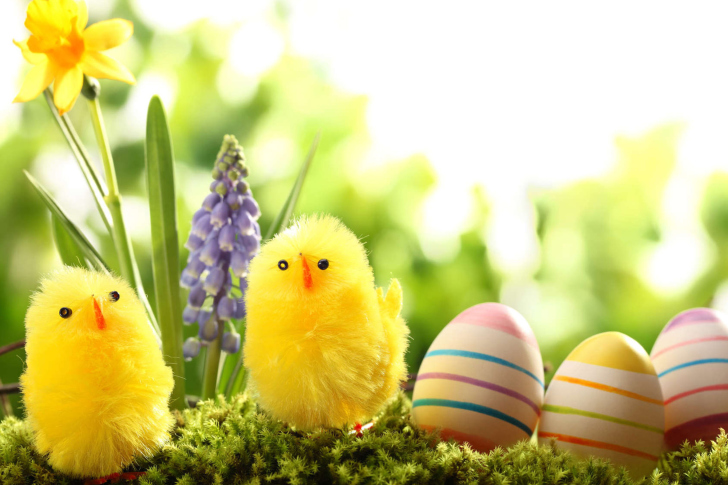 Das Easter Eggs and Hen Wallpaper