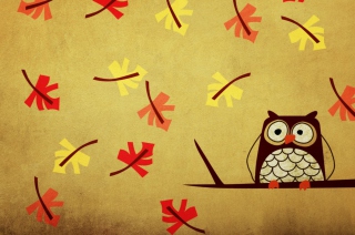 Owl - Obrázkek zdarma pro Nokia Asha 201