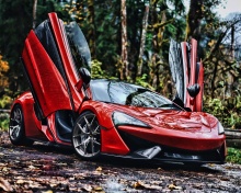 Обои McLaren 570S 220x176