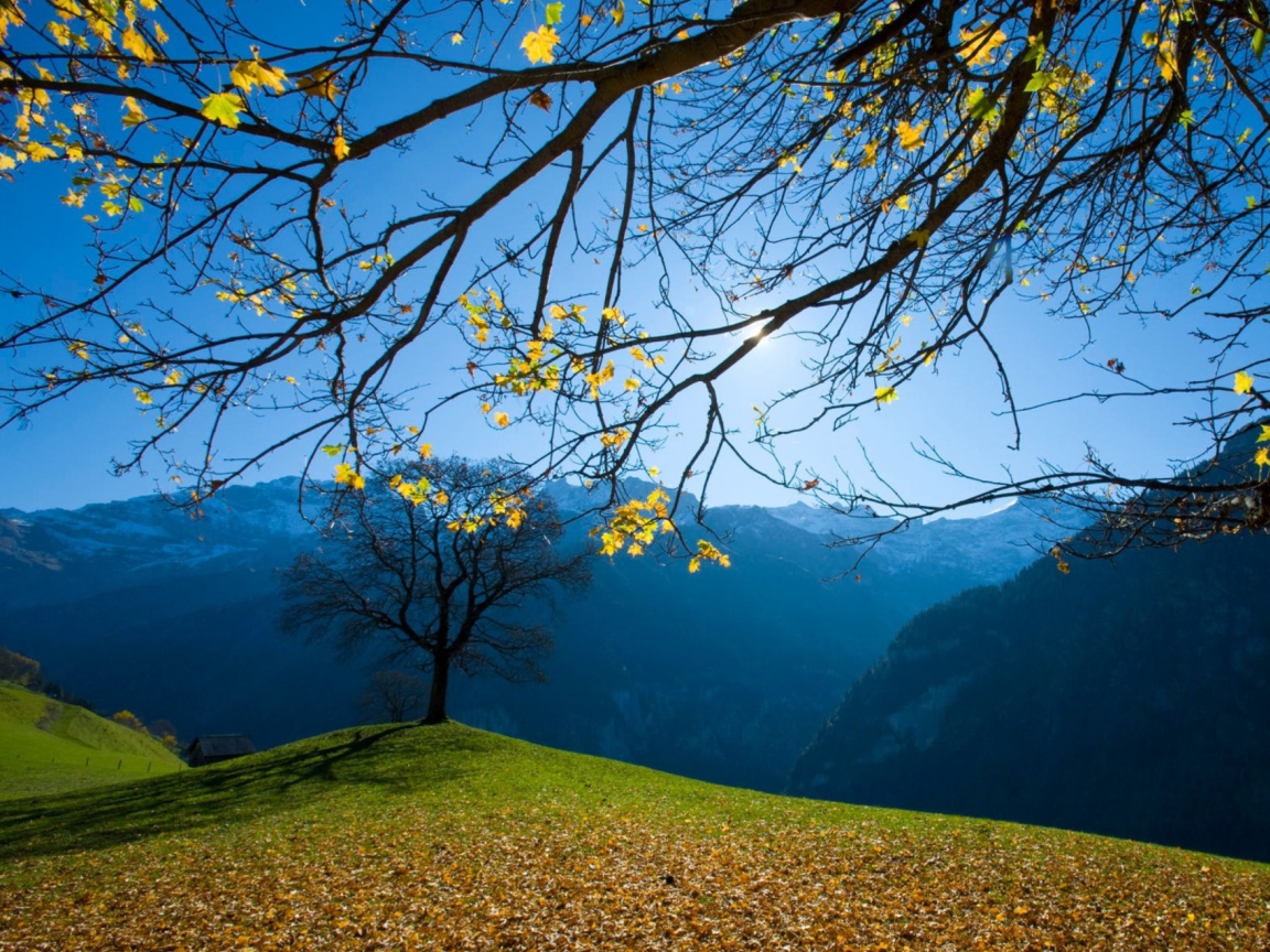 Обои Autumn Schachental Switzerland 1152x864