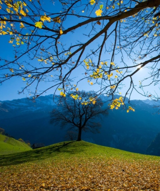 Autumn Schachental Switzerland - Obrázkek zdarma pro 132x176