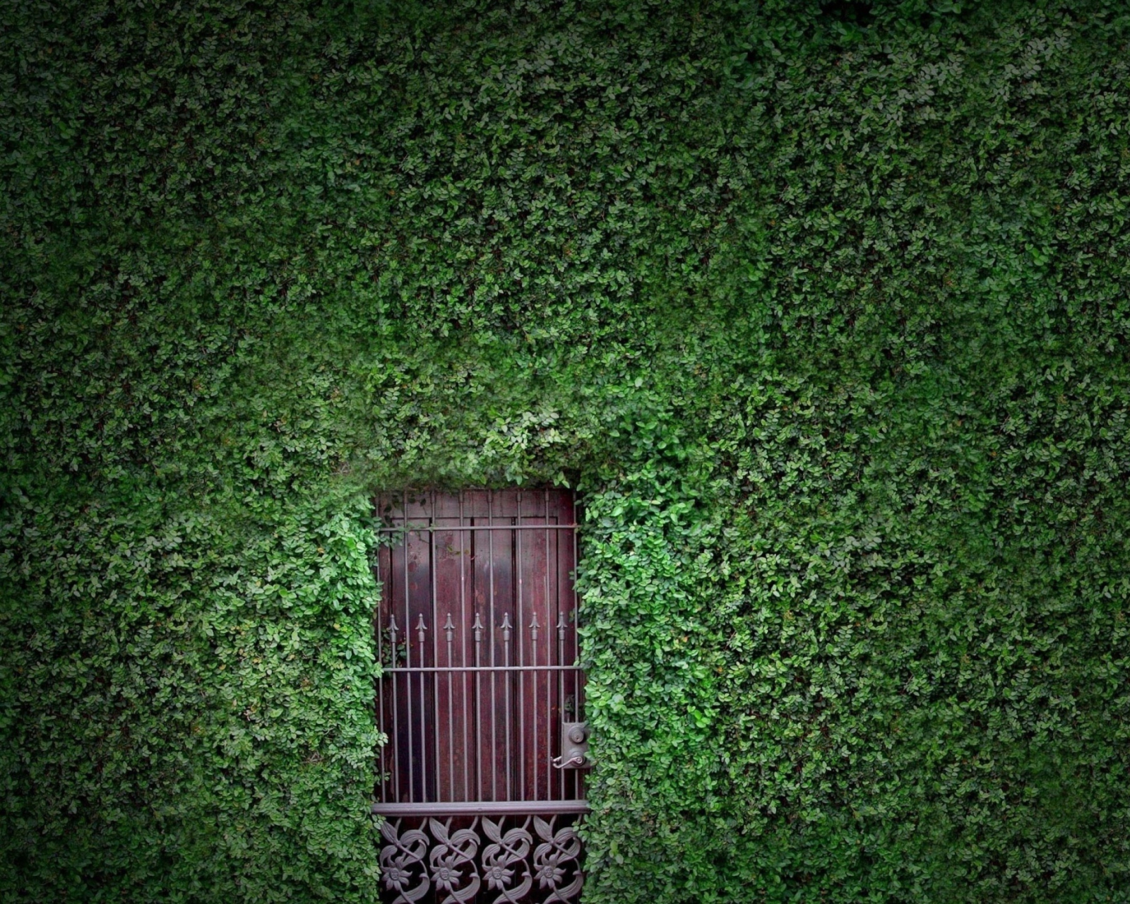 Das Green Wall And Secret Door Wallpaper 1600x1280