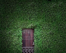 Green Wall And Secret Door wallpaper 220x176