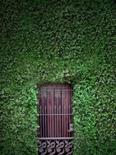 Green Wall And Secret Door wallpaper 240x320