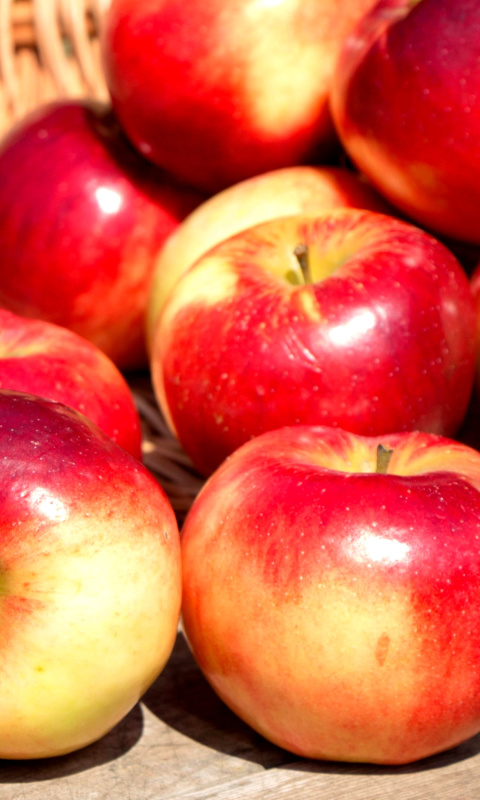 Das Autumn Apples Wallpaper 480x800