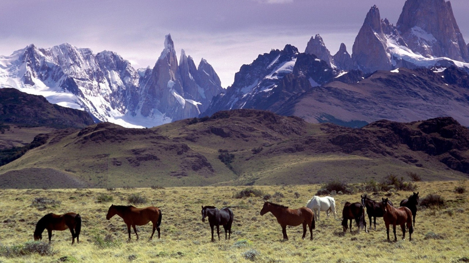 Screenshot №1 pro téma Mountains Scenery & Horses 1600x900