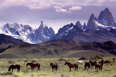 Fondo de pantalla Mountains Scenery & Horses 480x320