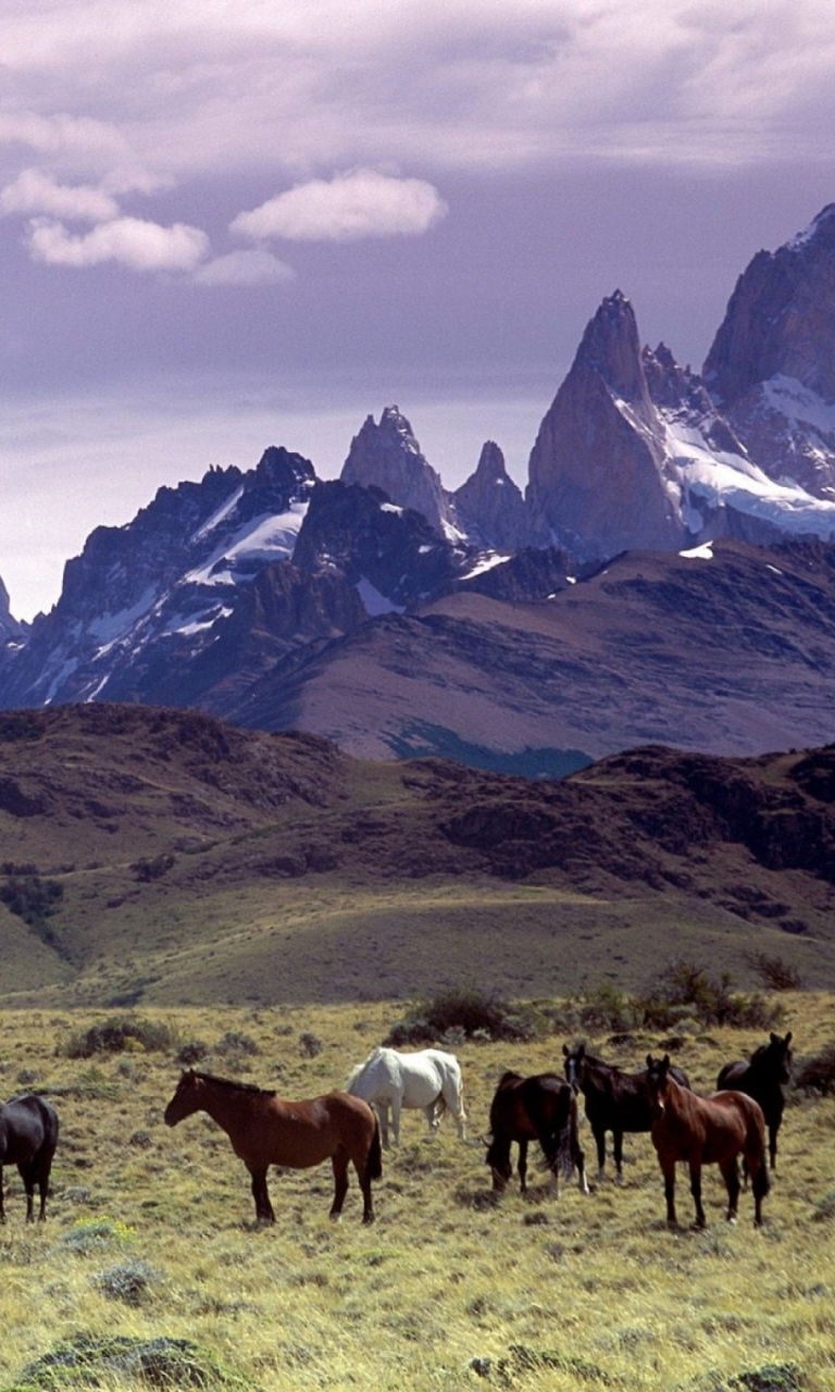 Screenshot №1 pro téma Mountains Scenery & Horses 768x1280