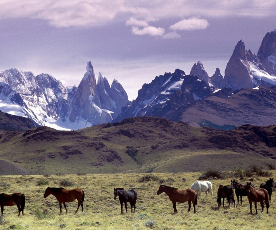 Mountains Scenery & Horses wallpaper 960x800