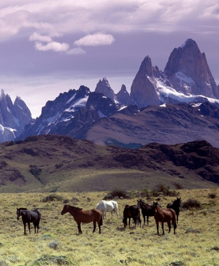 Mountains Scenery & Horses - Obrázkek zdarma pro Nokia X7