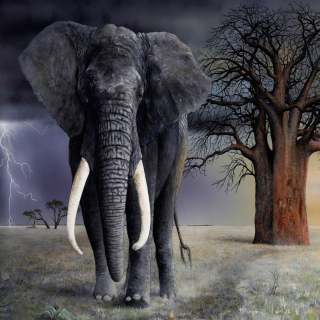 Elephant - Obrázkek zdarma pro iPad Air