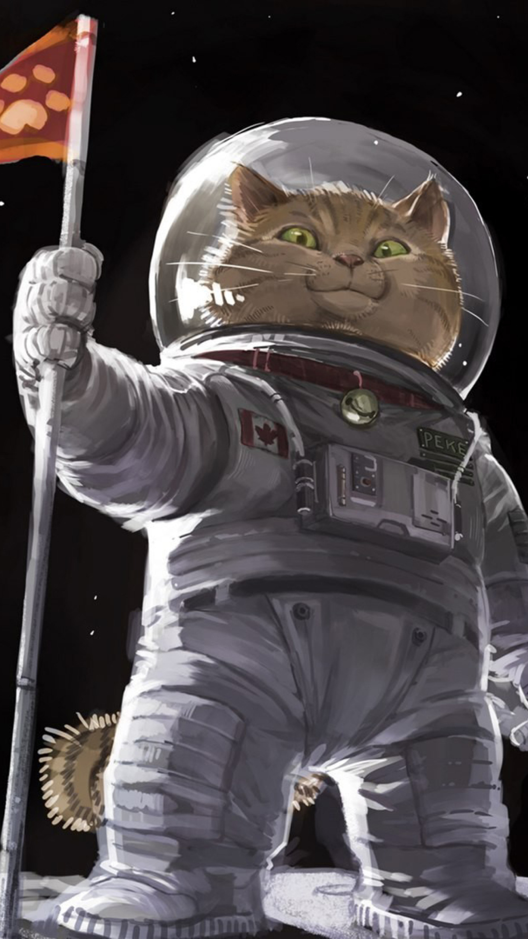 Sfondi Cat Space Invader 1080x1920