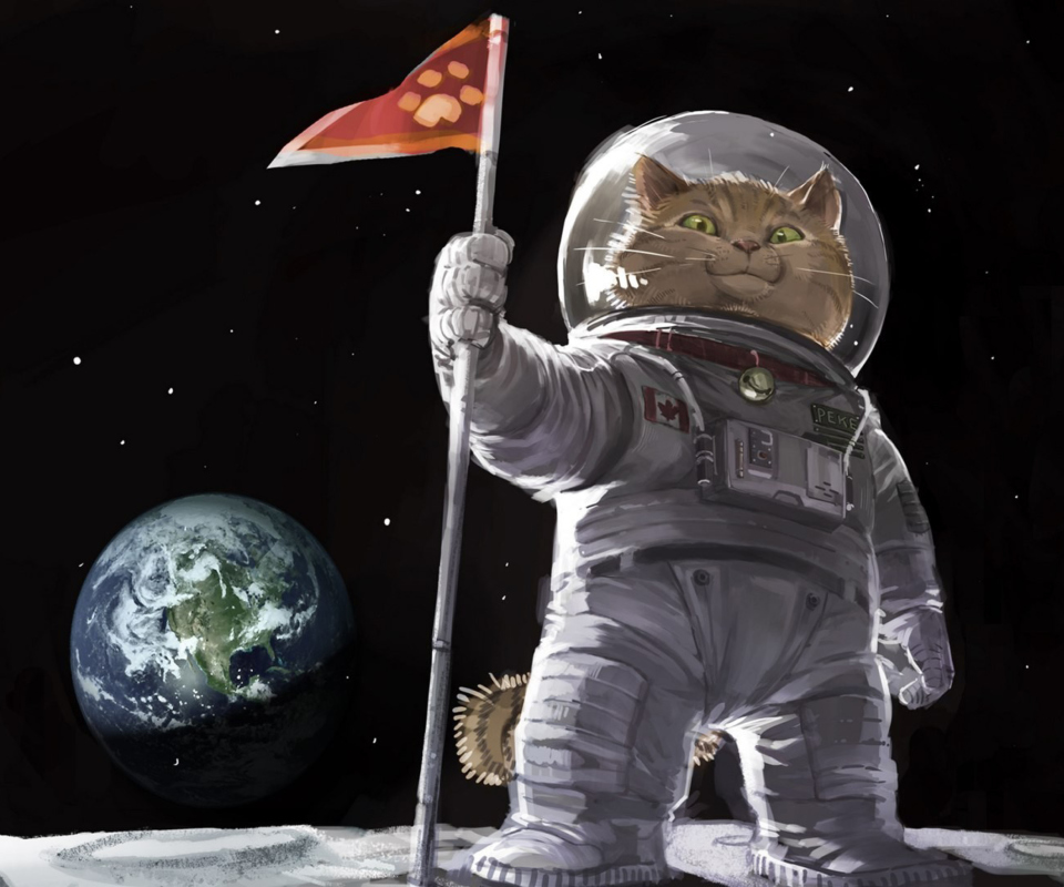 Das Cat Space Invader Wallpaper 960x800