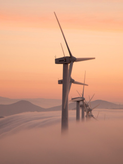 Dutch Wind power Mills for electricity wallpaper 240x320