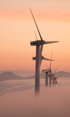 Dutch Wind power Mills for electricity wallpaper 240x400