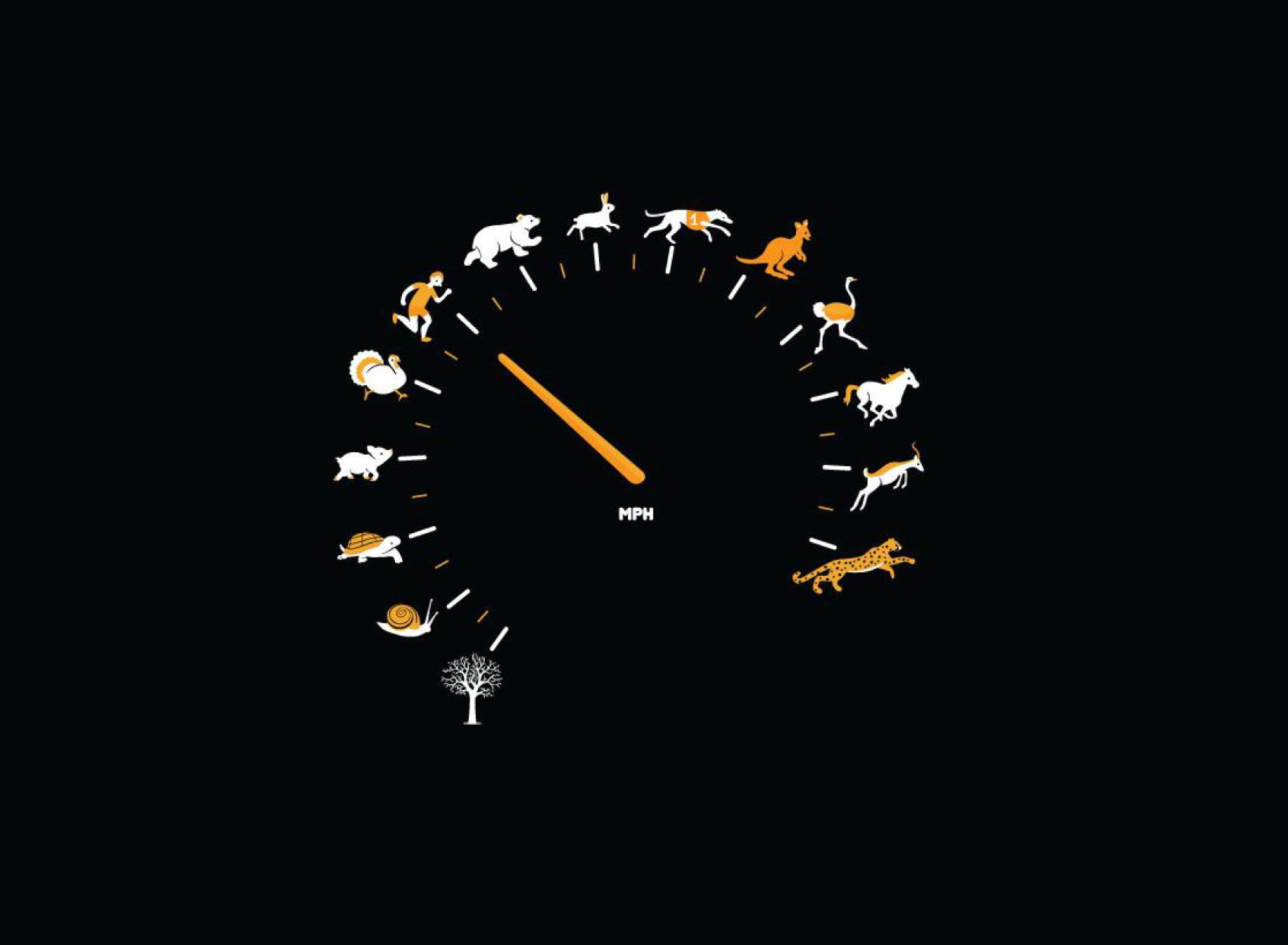 Das Funny Speedometer Mph Wallpaper 1920x1408