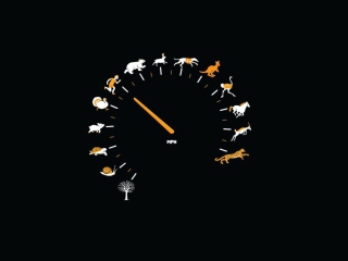 Das Funny Speedometer Mph Wallpaper 320x240