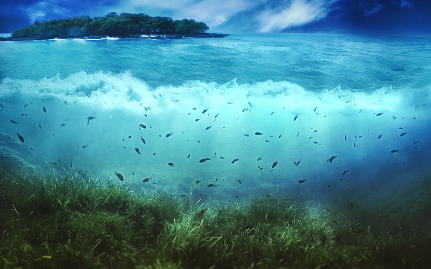 Aquatic Life wallpaper 1440x900