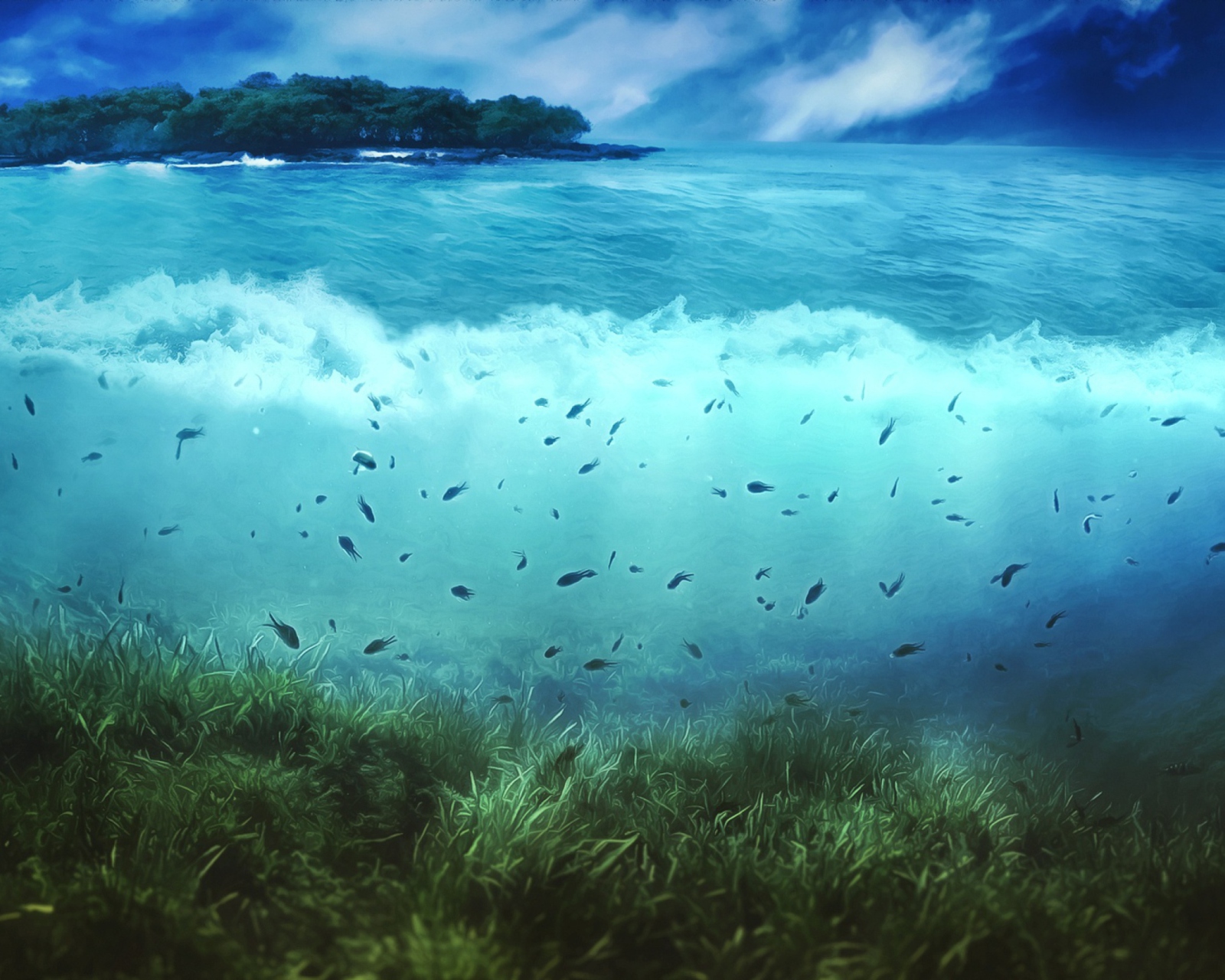 Aquatic Life screenshot #1 1600x1280