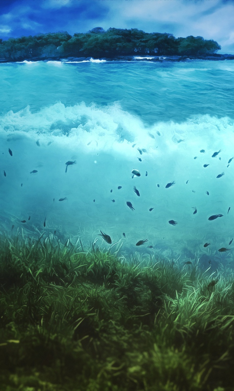 Screenshot №1 pro téma Aquatic Life 768x1280