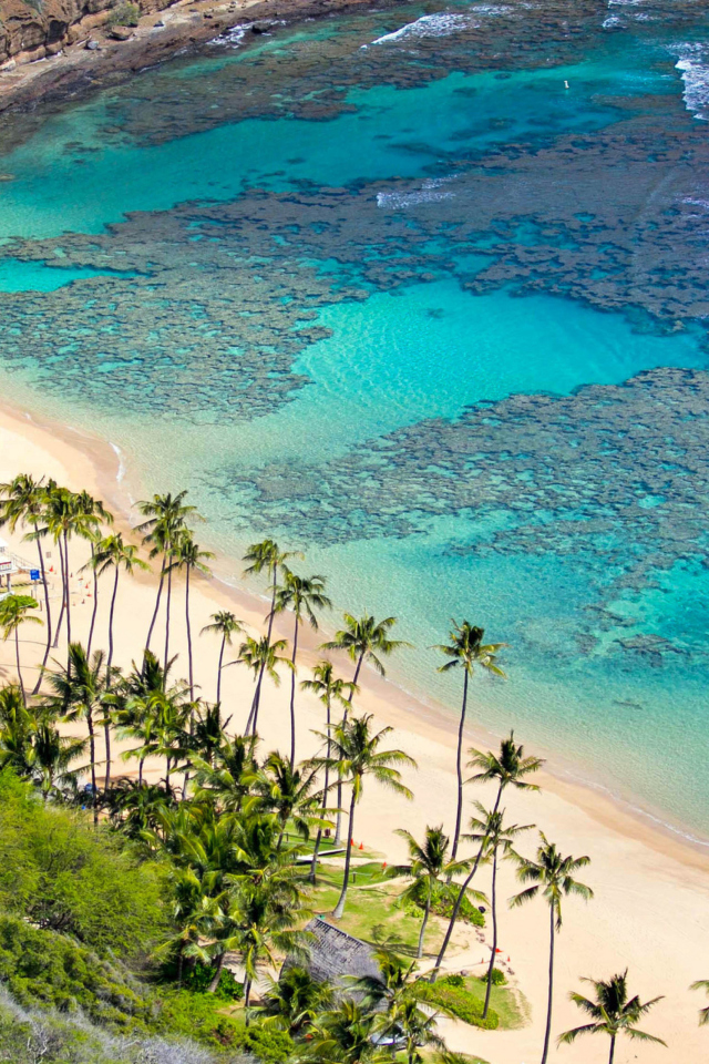 Fondo de pantalla Oahu Hawaii 640x960