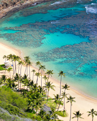 Oahu Hawaii - Obrázkek zdarma pro iPhone 6