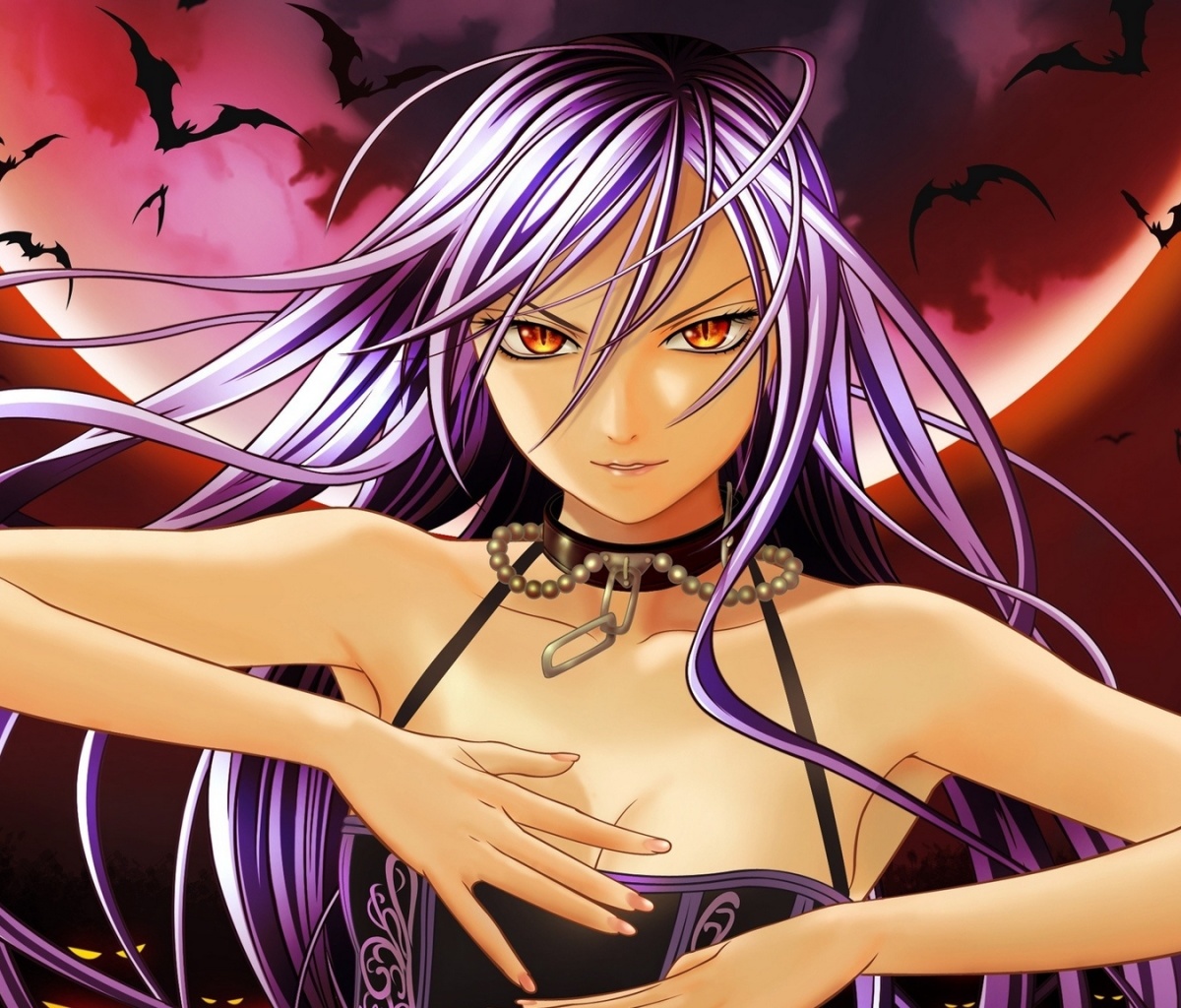 Обои Rosario plus Vampire 1200x1024