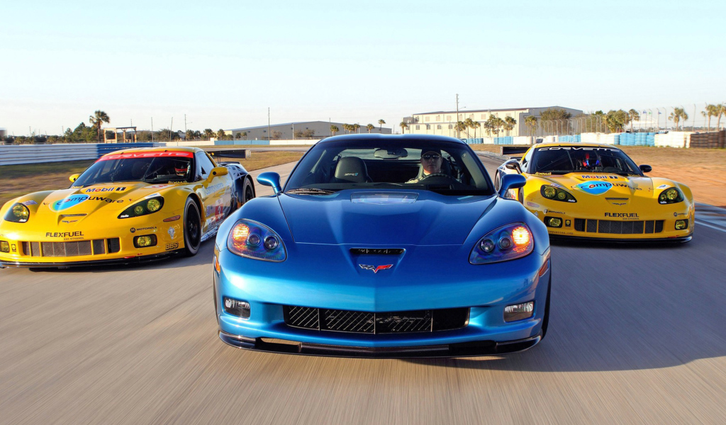 Screenshot №1 pro téma Corvette Racing Cars 1024x600