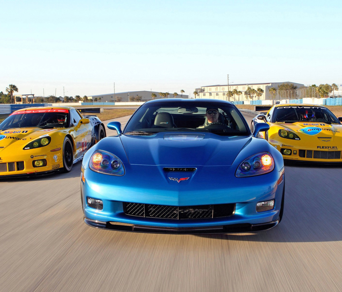 Fondo de pantalla Corvette Racing Cars 1200x1024