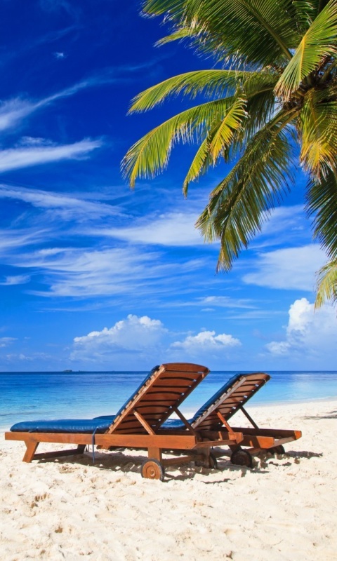 Обои Luxury Resorts Maldives 480x800