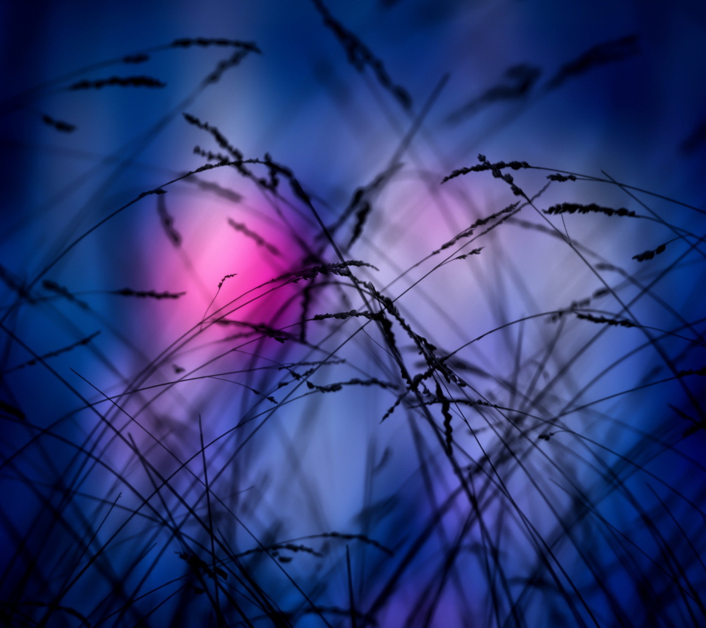 Screenshot №1 pro téma Pink Sunset Time 1440x1280